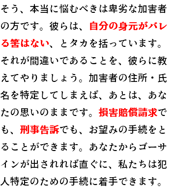 そう、本当に悩むべきは卑劣な加害者の方です。彼らは、自分の身元がバレる筈はない、とタカを括っています。それが間違いであることを、彼らに教えてやりましょう。加害者の住所・氏名を特定してしまえば、あとは、あなたの思いのままです。損害賠償請求でも、刑事告訴でも、お望みの手続をとることができます。あなたからゴーサインが出されしだい、私たちは、必要な手続に着手するでしょう。
